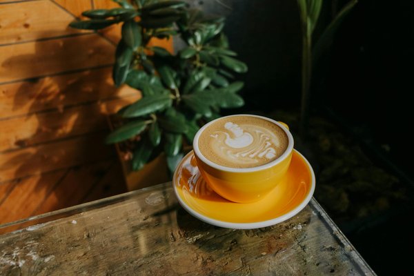 L'élégance sportswear : Le style raffiné des seniors